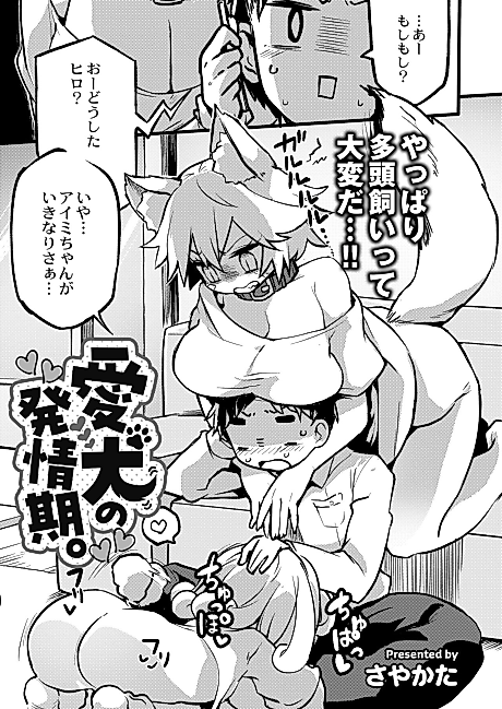 Cover image for the manga called Aiken no Hatsujouki.