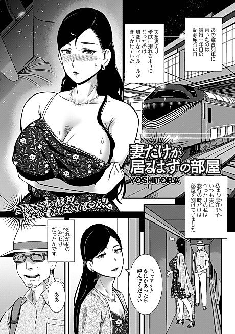 Cover image for the manga called Tsuma Dake ga Iru Hazu no Heya