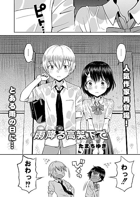 Cover image for the manga called Under The Overpass In The Rain