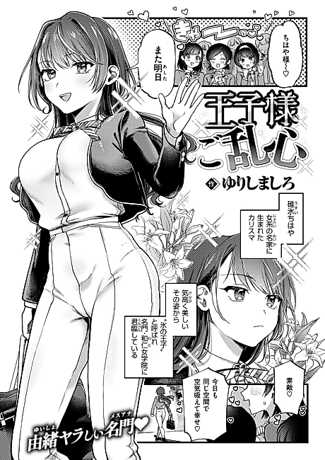 Cover image for the manga called A Prince Gone Mad