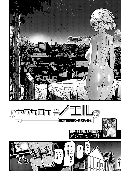 Cover image for the manga called Sexaroid Noel
