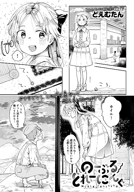 Cover image for the manga called Noble Training