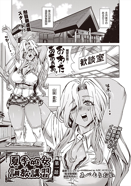 Cover image for the manga called Kaki Shojo Choukyou Koushuu