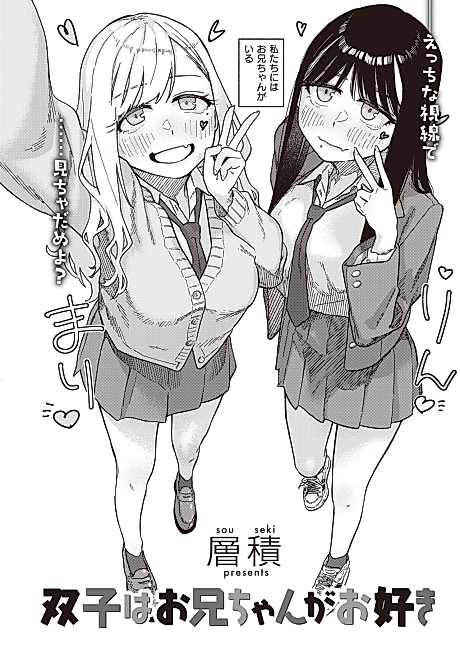 Cover image for the manga called The Twins Love Their Brother
