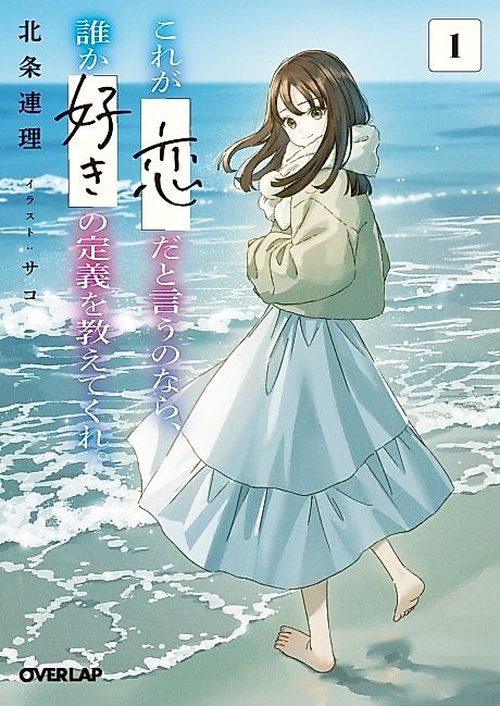 Cover image for the novel called 