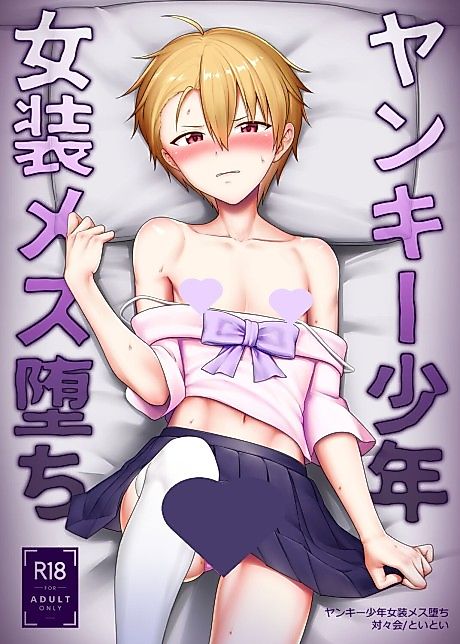 Cover image for the manga called Yankee Shounen Josou Mesu Ochi