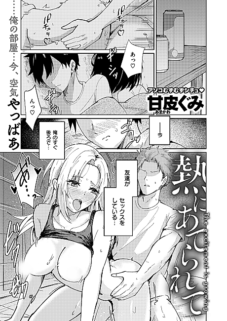Cover image for the manga called Netsu ni Aterarete