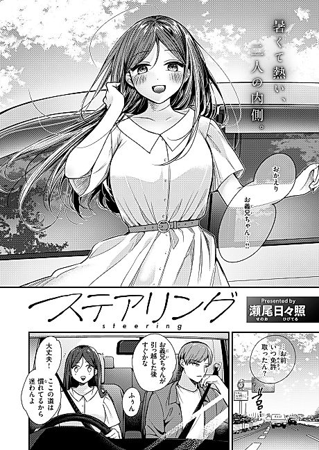 Cover image for the manga called Steering