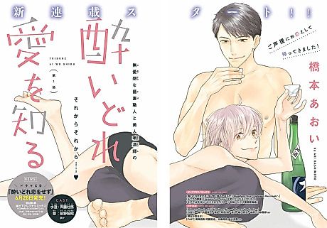 Cover image for the manga called 