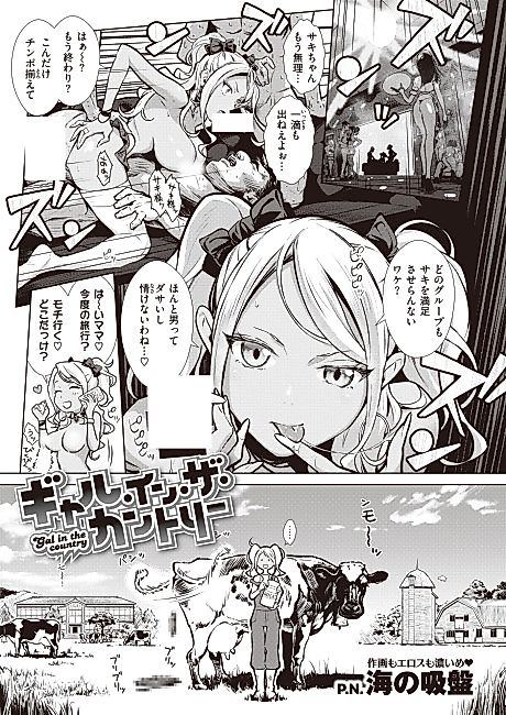 Cover image for the manga called Gal in the Country