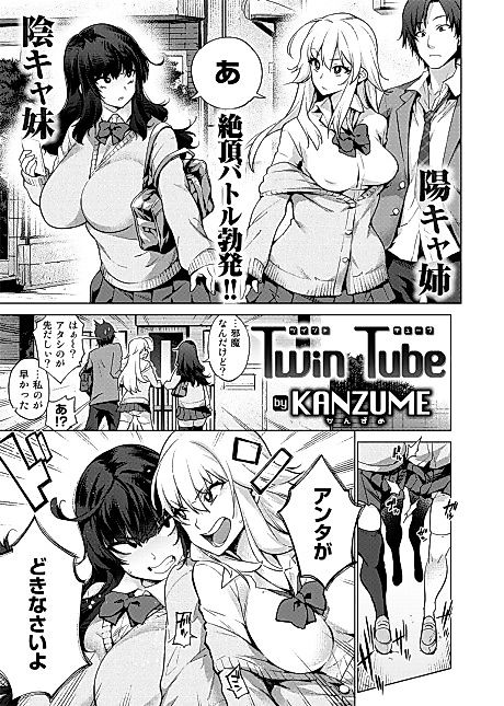 Cover image for the manga called Twin Tube