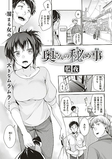 Cover image for the manga called Housewife's Secret