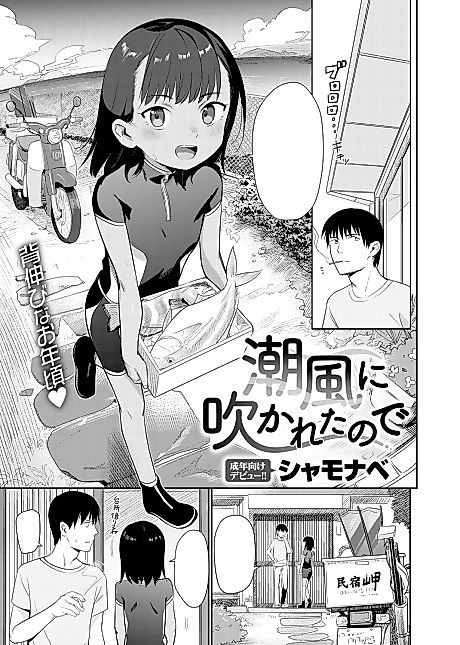 Cover image for the manga called Blown Away by the Sea Breeze