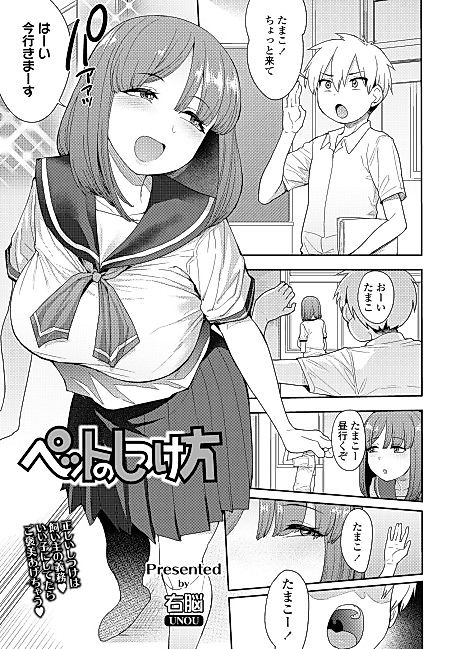 Cover image for the manga called How to Train Your Pet