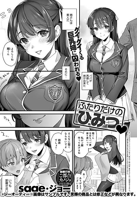 Cover image for the manga called Futari dake no Himitsu