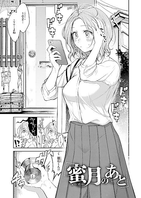 Cover image for the manga called After the Honeymoon