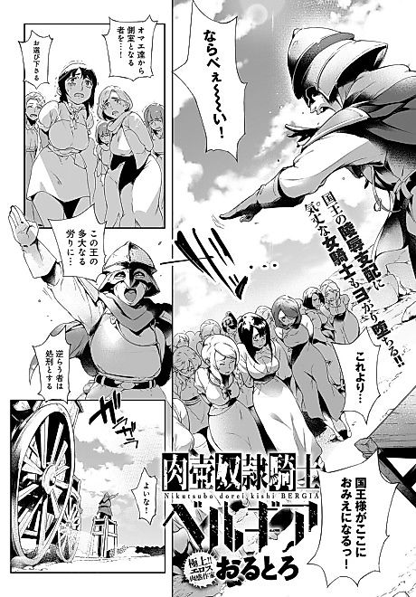Cover image for the manga called Meat-pot Slave Knight Bergia