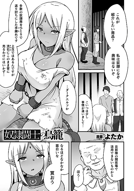 Cover image for the manga called Dorei Toushi no Torikago