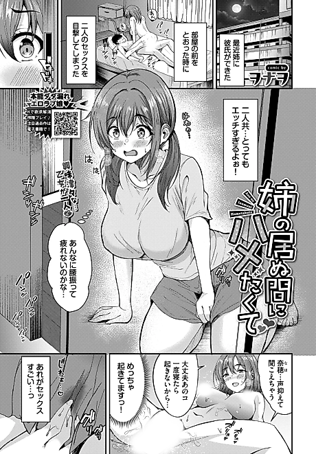 Cover image for the manga called Ane no Inumani Hametakute