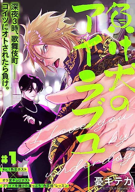 Cover image for the manga called Mageinu no I Love You