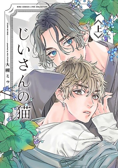 Cover image for the manga called 