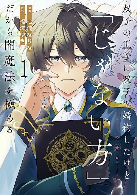 Cover image for the manga called The Twin Princes got Engaged to Twins, but Because I'm "The Other One" I Decided to Master Dark Magic