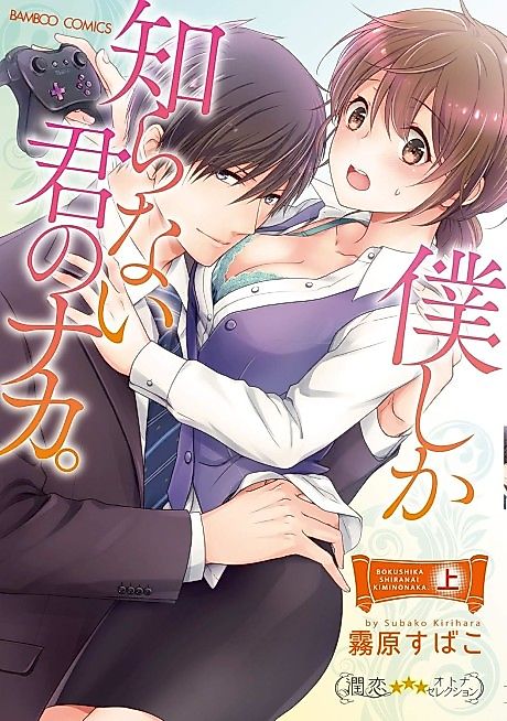 Cover image for the manga called 