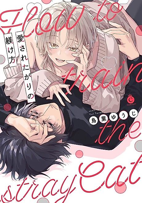 Cover image for the manga called How to train the stray cat