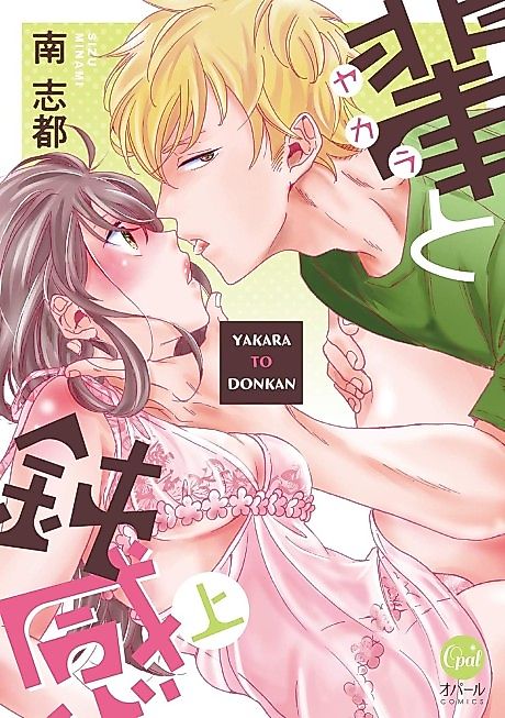 Cover image for the manga called The Riff-Raff and the Airhead