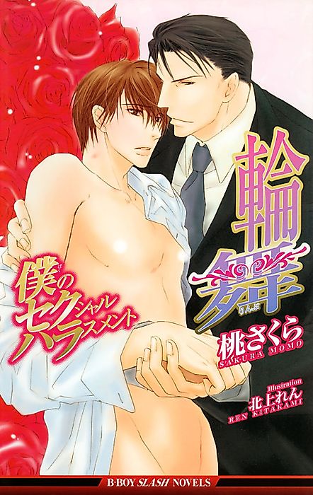 Cover image for the novel called 