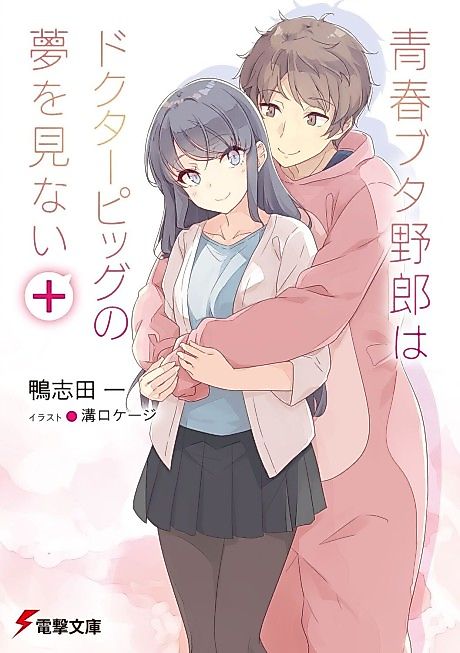 Cover image for the novel called 