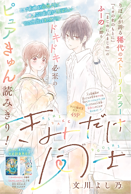 Cover image for the manga called Kimi dake Doushi