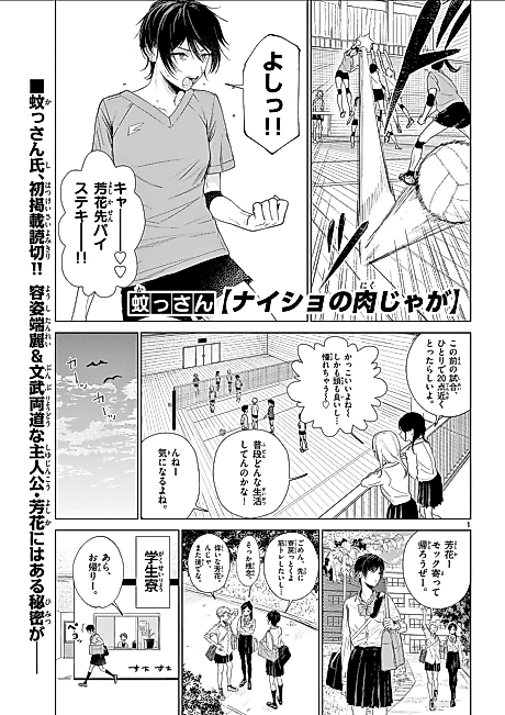 Cover image for the manga called Naisho no Nikujaga