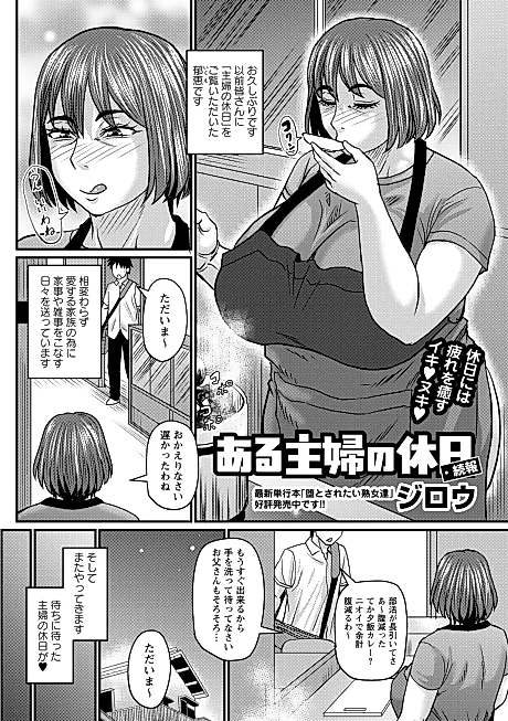 Cover image for the manga called Aru Shufu no Kyuujitsu: Zoku-hou
