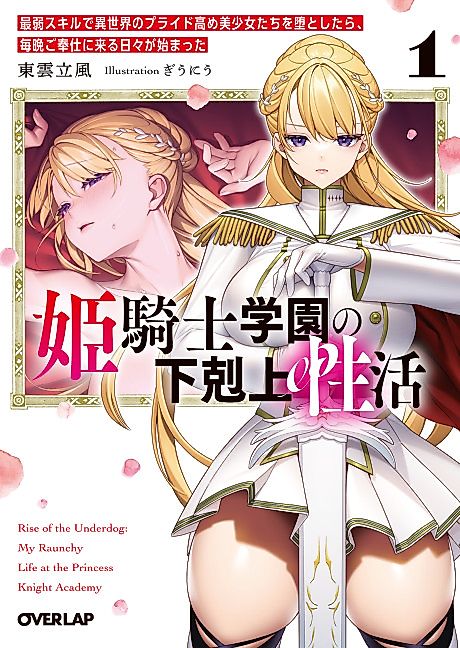 Cover image for the novel called Hime Kishi Gakuen no Gekokujou Seikatsu: Saijaku Skill de Isekai no Pride Takame Bishoujo-tachi wo Otoshitara, Maiban Gohoushi ni Kuru Hibi ga Hajimatta