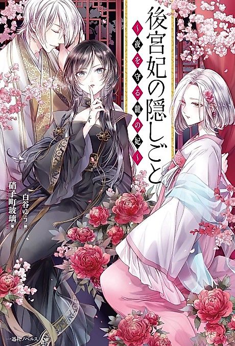 Cover image for the novel called Koukyuu-hi no Kakushigoto: Yoru wo Mamoru Ryuu no Kisaki ~