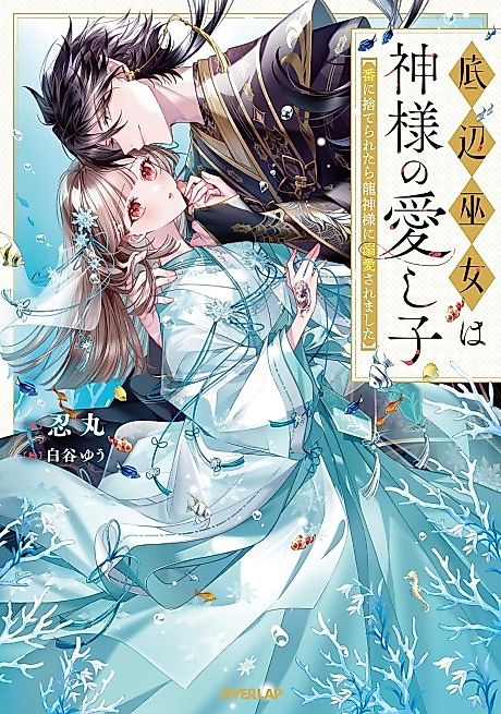 Cover image for the novel called Teihen Miko wa Kamisama no Itoshigo