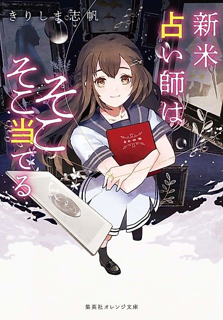 Cover image for the novel called Shin Kome Uranaishi wa Sokosoko Ateru