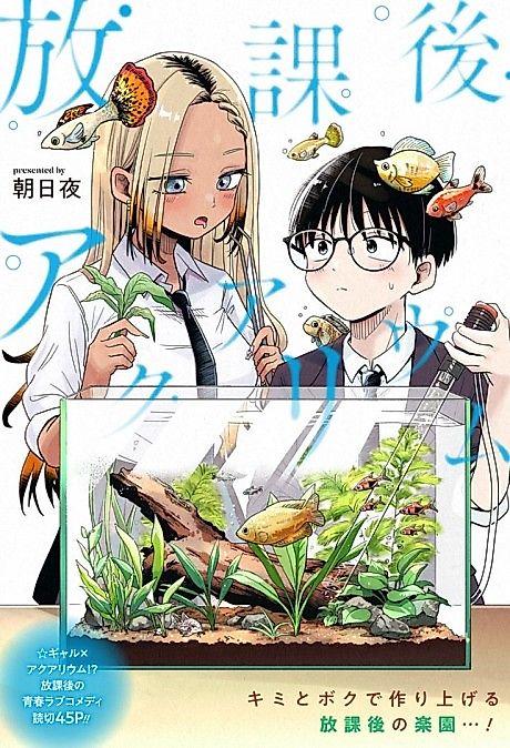 Cover image for the manga called Afterschool Aquarium