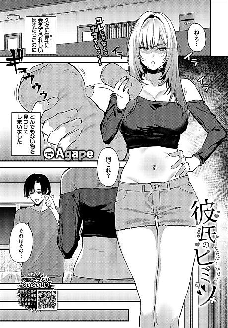Cover image for the manga called Kareshi no Himitsu