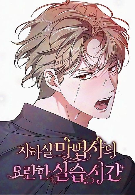 Cover image for the manhwa called The Basement Wizard's Noisy Practice Time