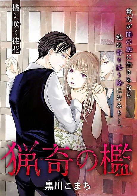 Cover image for the manga called Ryouki no Ori