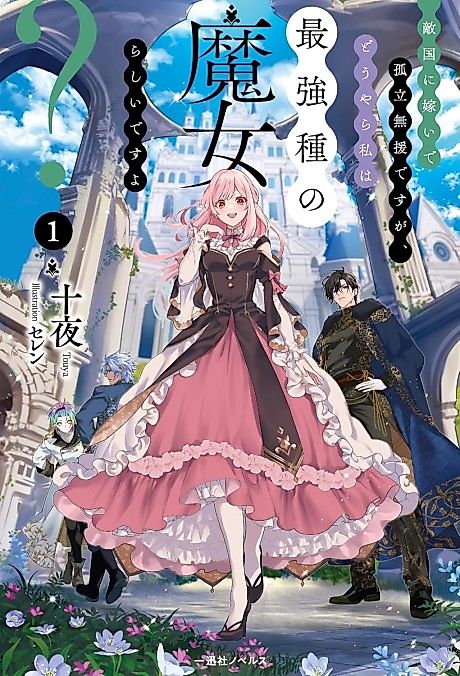 Cover image for the novel called Tekikoku ni Totsuide Koritsumu En desu ga, Douyara Watashi wa Saikyoushu no Majorashii desu yo?