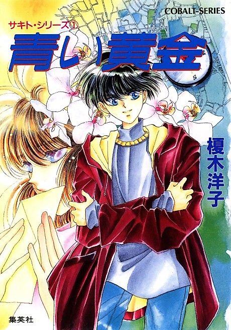Cover image for the novel called Sakito Series