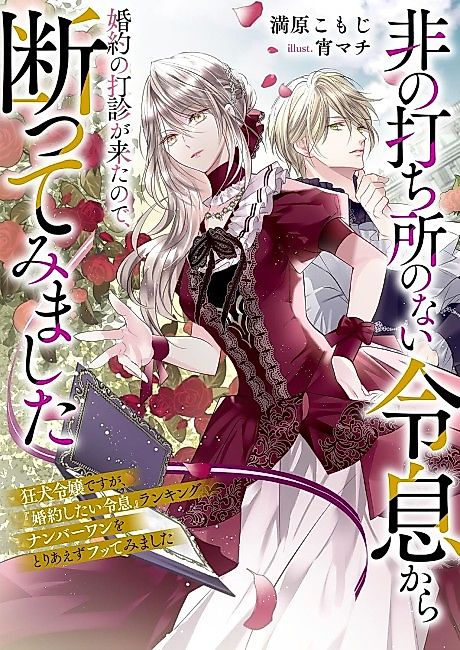 Cover image for the novel called Hinouchi Dokoro no Nai Reisoku kara Konyaku no Dashin ga Kitanode, Kotowatte Mimashita Kyouken Reijou desu ga,“Konyaku Shitai Reisoku” Ranking Number One wo Toriaezu Futte Mimashita
