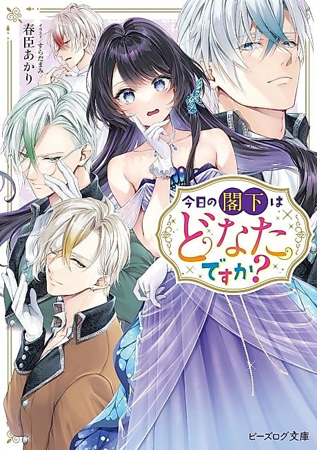 Cover image for the novel called Kyou no Kakka wa Donata desu ka?