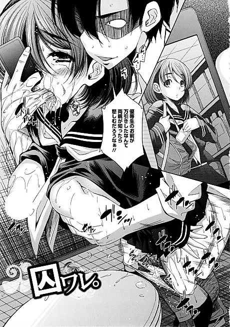 Cover image for the manga called Toraware.