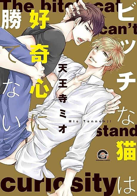 Cover image for the manga called 
