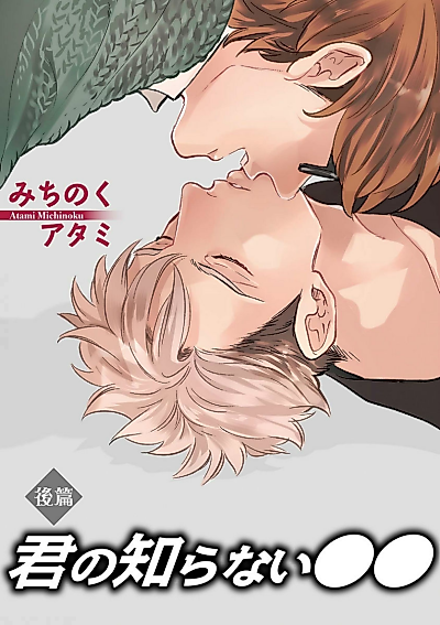 Cover image for the manga called Kimi no Shiranai XX