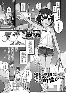 Cover image for the manga called The daughter of the big sister I long for is cute